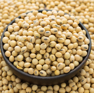 Vente en gros d'usine de graines de soja biologiques non OGM, soja jaune de qualité supérieure - Product Image 5