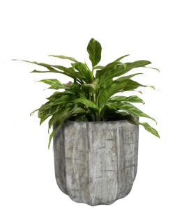 Pots de jardinière en fibrociment pour la maison et le jardin adaptés aux fleurs et aux plantes - Product Image 2