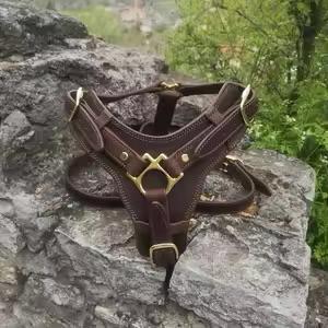 Arnés de Cuero Personalizado para Perro, Resistente, Ajustable, Tipo Chaleco, Sin Tirones, para Entrenamiento y Paseo, Accesorios para Perros de 20 kg+ - Product Image 2