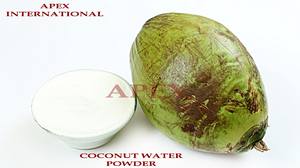 ผงน้ำมะพร้าวสำเร็จรูป ผงน้ำมะพร้าวอ่อน ผงน้ำมะพร้าวสำหรับเพิ่มพลังงานและความชุ่มชื้นทันที - Product Image 3