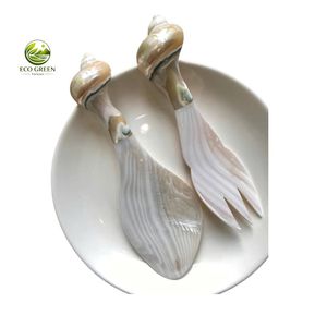 Artisan Handmade Seashell Spoon Fork Tableware Set Mother of Pearl Kitchen Dining Accessories - Product Image 5