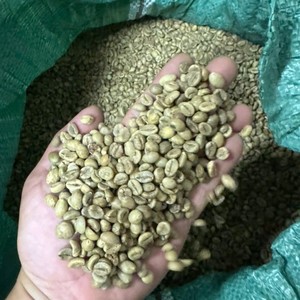 ผู้จัดจำหน่ายเมล็ดกาแฟพรีเมียมเวียดนาม เมล็ดกาแฟโรบัสต้าดิบ ขายส่งกาแฟดิบ - Product Image 1