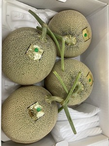 คุณภาพเยี่ยม คัดสรรอย่างดี ผลไม้เมลอนสดใหม่ หลากหลายพันธุ์ เนื้อสีเขียวและสีแดง อาหารและเครื่องดื่ม - Product Image 3