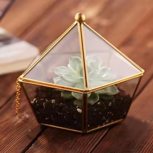 Terrario Geométrico de Metal Premium, Macetero de Vidrio, Caja de Exhibición para Plantas de Interior, Decoración Moderna para el Hogar, Centro de Mesa - Product Image 1