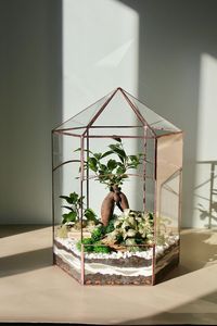 Terrario de Metal y Vidrio Personalizado en Forma de Cabaña, Macetero Moderno de Vidrio para Plantas de Interior, Suculentas, Plantas Aéreas y Terrarios DIY - Product Image 4