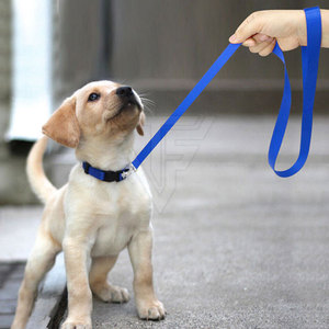 Collier Classique Solide et Réglable pour Chien avec Boucle Métallique et Anneau en D, Laisse Assortie, Design Cousu, Respirant, Haute Qualité - Product Image 2