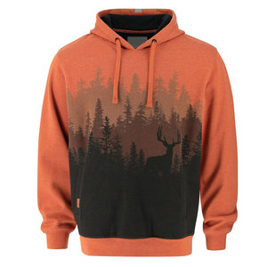 Sudadera con capucha estampada de alta calidad para hombre, para ejercicio y fitness, para uso diario, en stock. - Product Image 1