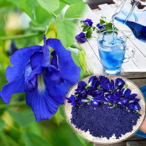 Standard Bulk Dried Butterfly Pea Flowers Natural Blue Petals Organic Herbal <b>Slimming</b> Tea Zip Bag Packaging Vietnam Supply EXPAD - Product Image 1