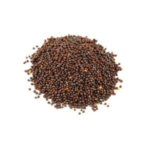 Semillas de Mostaza Amarilla Secas de Alta Calidad, Granos Crudos Naturales, Alimento Saludable - Product Image 6