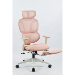 Sedia da Ufficio Ergonomica con Schienale Alto, Supporto Lombare Dinamico, Poggiatesta 2D, Braccioli 2D e Poggiapiedi - Product Image 2