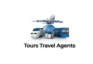 Obtenez un site Web professionnel pour Tour et Travel Company à un prix économique - Product Image 5