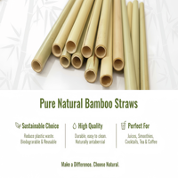 Pailles en bambou DR Premium non emballées 100% naturelles 200mm Biodégradables Compostables Écologiques Réutilisables Longue Durée pour Camping Boissons Chaudes et Froides
