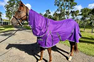Waterproof Equine Horse Summer Rugs Soft Fleece Inner Comfort Reinforced Ripstop Outer Shell Nylon Lining Adjustable Buckle - Product Image 4