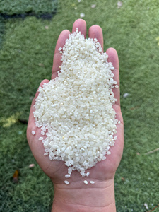 ข้าวญี่ปุ่นธรรมชาติ ขายส่งสำหรับธุรกิจบริการอาหาร ส่งออกและขายปลีก คุณภาพเมล็ดข้าวเหนือระดับพรีเมียม - Product Image 1