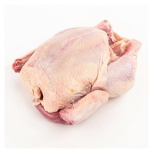 Pollo Congelado a Granel para Uso Comercial con Almacenamiento Práctico, Calidad Consistente y Uso en Cocinas Domésticas - Product Image 3