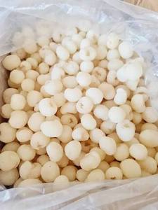 Fruta de Longan Congelada IQF de Alta Calidad, Pulpa de Longan Sin Semillas, Venta al Por Mayor - Product Image 5