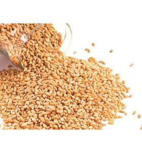 Meilleurs Grains de Blé Doux de Qualité Supérieure en Gros, Vente en Vrac, Qualité Alimentaire, Prêts à Expédier, Approvisionnement Export - Product Image 5