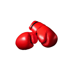 Gants de boxe professionnels absorbant les chocs pour l'entraînement au MMA, au kickboxing et à la remise en forme - Product Image 1