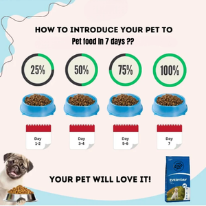 Aliments pour animaux de compagnie en gros OEM, usine de production, haute teneur en protéines, 100% naturel, nourriture sèche premium pour chiens avec vitamines, minéraux et bienfaits pour la santé digestive - Product Image 4