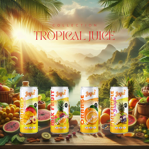 Joyce Interfresh Nata De Coco Boissons à jus séché Plusieurs saveurs avec bon goût OEM ODM Bouteille d'emballage Ingrédients filtrés - Product Image 6