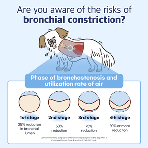 Dr.BY 8g X 30 suppléments pour la santé respiratoire du chien Soulagement de la toux Soins bronchiques et pulmonaires Nutrition Soins de santé pour animaux de compagnie - Product Image 4