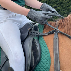 English Western Riding & Professional Horse <b>Trainers</b> High Quality Horse Riding Gloves with Flexible Fit and Best Material - Product Image 6