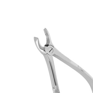 Premium Quality Berten Type Extraction Forceps PLUS 18 German Stainless Steel Dental Tooth Extracting Instrument Surgical Grade - Product Image 6