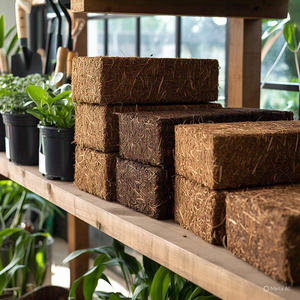 Polvo de Turba de Coco Premium, Ligero y Ecológico, Medio de Cultivo para Agricultura y Jardinería - Calidad de Exportación - Product Image 5