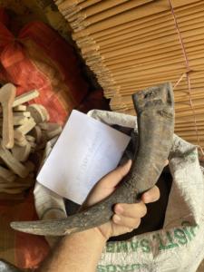 Punta de Cuerno de Búfalo Natural Ecológica, Color Negro Rústico, para Navidad y Año Nuevo Chino - Product Image 2