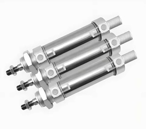 Mini-cylindre pneumatique en acier inoxydable DSNU20X25/50/75/100MM à double action avec pare-chocs en caoutchouc pour équipement d'automatisation - Product Image 3