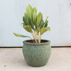 Pot de fleurs et jardinières en céramique écologiques de différentes tailles, personnalisables en usine, décorations de jardin, emballage sur mesure - Product Image 3
