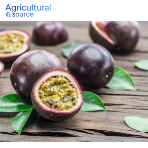 เสาวรสคุณภาพสูง-ผลไม้เมืองร้อนหวานฉ่ำออร์แกนิกสำหรับมื้ออาหาร-จากโรงงานเวียดนาม - Product Image 2