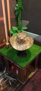 Sombrero de Vaquero de Cuero con Borde Ancho y Patrón de Piel de Serpiente, Estilo Occidental, Accesorio de Disfraz para Fiestas de Cuatro Estaciones, Unisex - Product Image 6
