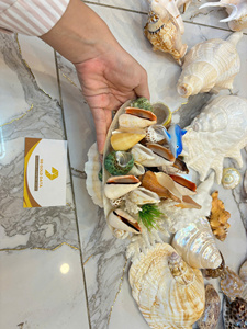 Vietnam Manufacturer Decorative Sea <b>Shells</b> for Fish Tank Aquarium Small Natural <b>Shell</b> Bulk Supplier Export - Product Image 4