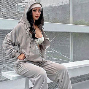 2026 Style INS Sweats à capuche zippés pour femme en coton doux épais et lourd, vierges pour impression de logo personnalisé, coupe oversize, style survêtement - Product Image 1