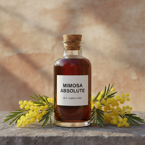 Aceite Absoluto de Mimosa Puro al por Mayor, Extracto Floral Natural de Acacia Dealbata para Perfumería de Lujo - Product Image 2