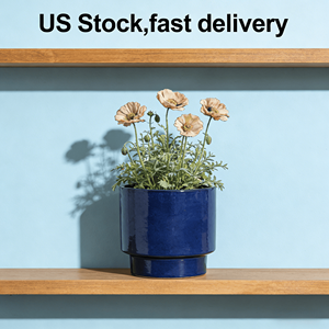Livraison gratuite depuis les États-Unis, livraison rapide en 3 jours, pot en céramique émaillée bleue pour plantes succulentes et fleurs, style américain, maison, jardin - Product Image 6