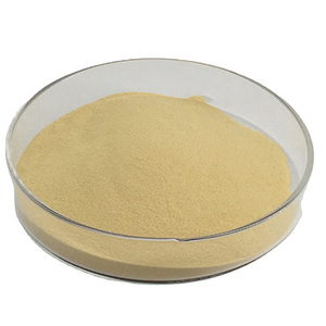 Proteasa Alcalina de Alta Calidad, Aditivo Alimentario, 200000 U/g, Proteasa Alcalina en Polvo - Product Image 3