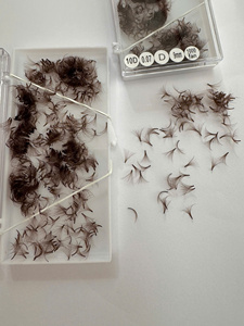 Wholesale Private Label <b>Individual</b> Eyelash Extensions Dark Brown Natural Soft Silk 0.05mm 0.07mm New Arrival Custom Design - Product Image 2