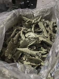 Premium Dried Guava Leaves for <b>Tea</b> Grade Whole Leaves Bulk Wholesale Vietnam Origin - Ms. Tarina - Product Image 5