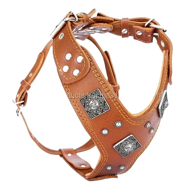 Harnais et colliers en cuir pour chien Laisses durables pour animaux d'extérieur personnalisées Collier pour chien Cristal clair Rivet de taille personnalisée pour bébé