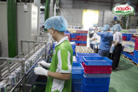 Jus de canneberge pétillant de qualité supérieure, faible MOQ, échantillon gratuit, certifié HALAL, BRC, ISO, USDA Organic, EU Organic, Vietnam