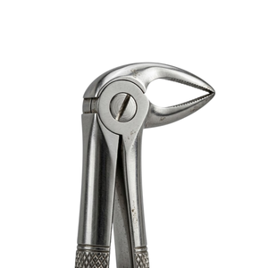 คีมถอนฟัน รุ่น Fig. 34 "รูปแบบภาษาอังกฤษ" |   สแตนเลสเกรดพรีเมียม - Product Image 2