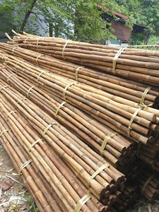 Eco Friendly Natural Rattan Core for Weaving Furniture Repair Decorative Crafts and Large Volume Export Orders - Product Image 5