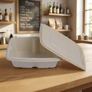Luxury <b>Pulp</b> Moulded Disposable 750ml Rectangle Food Container Eco Friendly Biodegradable Water Resistant Lightweight Box - Product Image 3