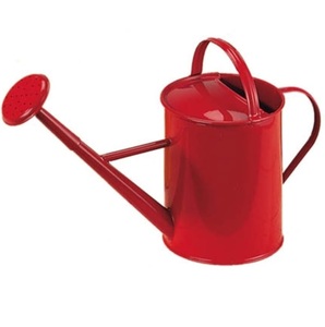 Royal Watering <b>Canes</b> Home and <b>Garden</b> Use Top Quality Good Water Can Antique Galvanized Jug Planter Can Water <b>Cane</b> - Product Image 2