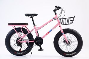 Bicicleta Híbrida con Llantas Gruesas de 20 Pulgadas, Cuadro de Acero, Frenos de Disco, con Canasta Delantera y Asiento Trasero para Desplazamientos Diarios - Product Image 6