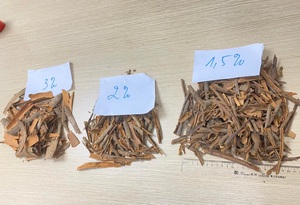 Canela Cassia Seca Mezclada AD de Bajo Precio al por Mayor, 1% 3% de Alto Contenido de Aceite, de Yen Bai, Vietnam - Product Image 3