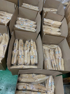 ฟองน้ำใยบวบเวียดนามพรีเมียม แปรงขัดผิวธรรมชาติ แผ่นใยบวบสำหรับอาบน้ำและดูแลผิวกาย ขายส่ง - Macy - Product Image 2