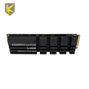 Unidad de Estado Sólido Interna KINGSMAN GAMING M.2 PCIe Gen5x4 de 2 TB NVMe con Disipador de Calor para Estación de Trabajo con IA - Product Image 1